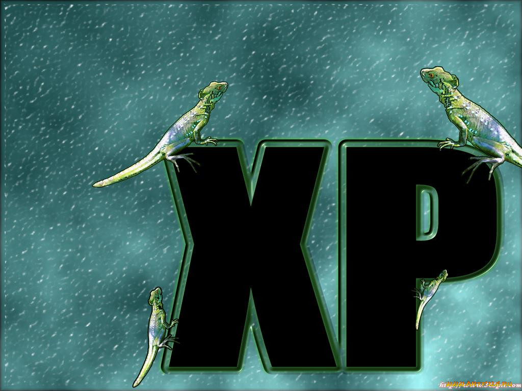 , windows, xp